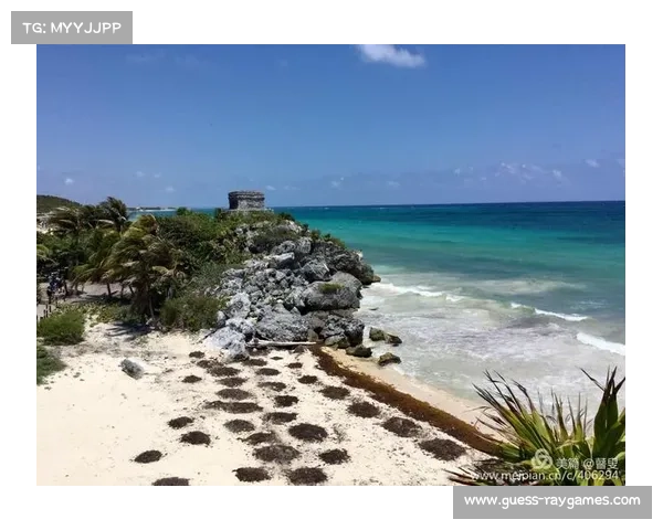 沃尔什将金牌奖金一半捐赠用于支持拉美地区泳池建设项目 沃尔什将金牌奖金一半捐赠用于支持拉美地区泳池建设项目